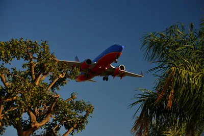 DSC_5730 (Large).JPG